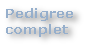 wp16cc382b.png